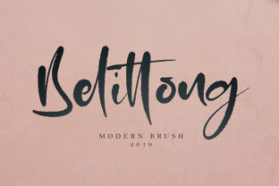 Belittong: A Handwritten Font for Editorial Design