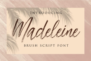 How Madeleine Font Elevates Small Business Branding