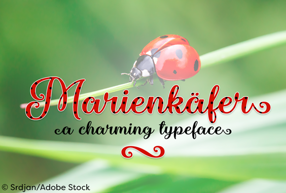 Marienkaefer: A Charming Calligraphy Typeface for Branding