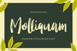 Molliquam: A Charming Handwritten Font for Brand Identity