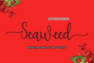 Seaweed Font: A Modern Handwritten Typeface Review