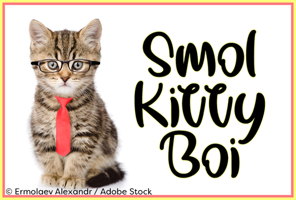 Smol Kitty Boi: A Playful Handwritten Font Review