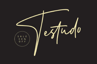 Testudo: A Bold Handwritten Font for Editorial Design
